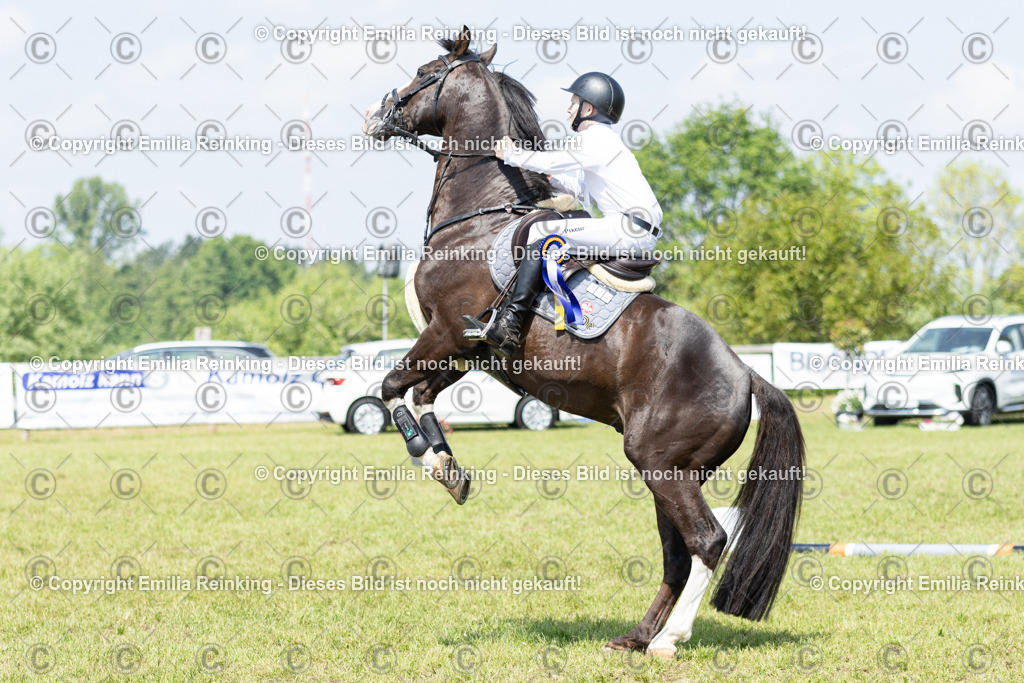 CL5A3844 | Emilia Reinking Fotografie - Realisiert mit Pictrs.com