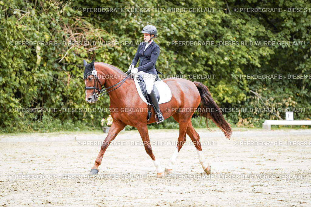 DSC04340 | Pferdegrafie