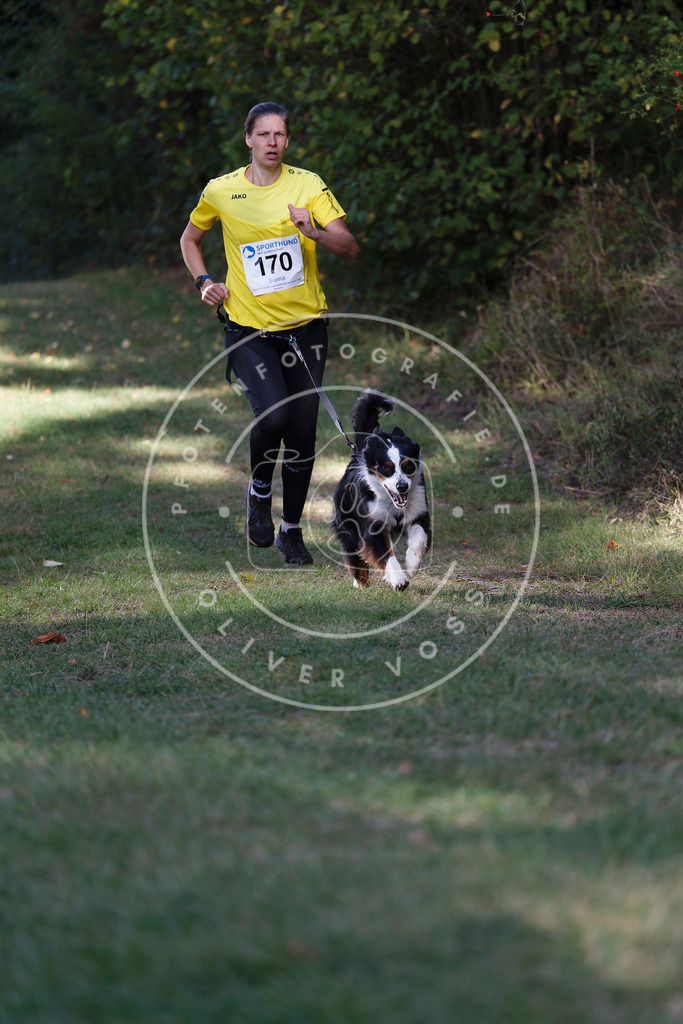 0L8A5333 | Hundefotografie, Tierfotograf, Pfotenfotografie, Fotoshooting Hund, Hunde Portrait, Hundesport, Hundeportraits, Heideshooting, Hunde, Sportfotograf, Hundefotograf, Turnierhundsport, THS,  - Realisiert mit Pictrs.com