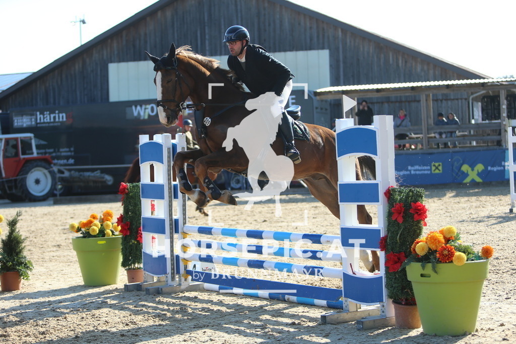 DL2Q2209 | Willkommen bei Brunnmayr - Design & Fotografie – Ihrem Spezialisten für Reitturniere und Pferdeveranstaltungen in Oberösterreich, Salzburg und Bayern! Seit über 17 Jahren sind wir leidenschaftlich dabei.