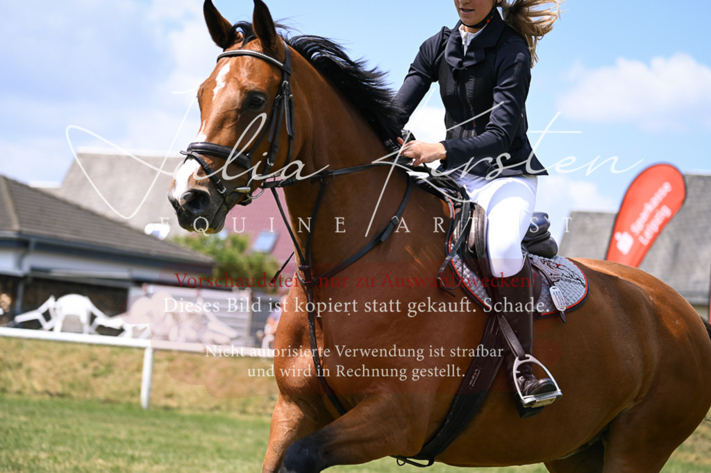DSC_9288 | Pferde- und Turnierfotografie in Westsachsen. Pferdeportraits, Auftragszeichnungen und intuitive Kunst.