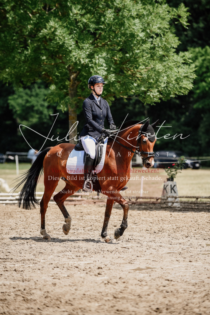 DSC_1734 | Pferde- und Turnierfotografie in Westsachsen. Pferdeportraits, Auftragszeichnungen und intuitive Kunst.