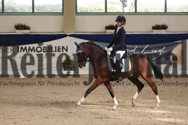 Ising_2025_Prfg.Nr.20_Pony-Dressurprfg.Kl.L_Kür_Valentina Sedlmayer_Der Duke 2 (1) | Alle Fotos der Reiterjournal Fotografin Doris Matthaes im Reiterjournal Online-Fotoshop. - Realisiert mit Pictrs.com