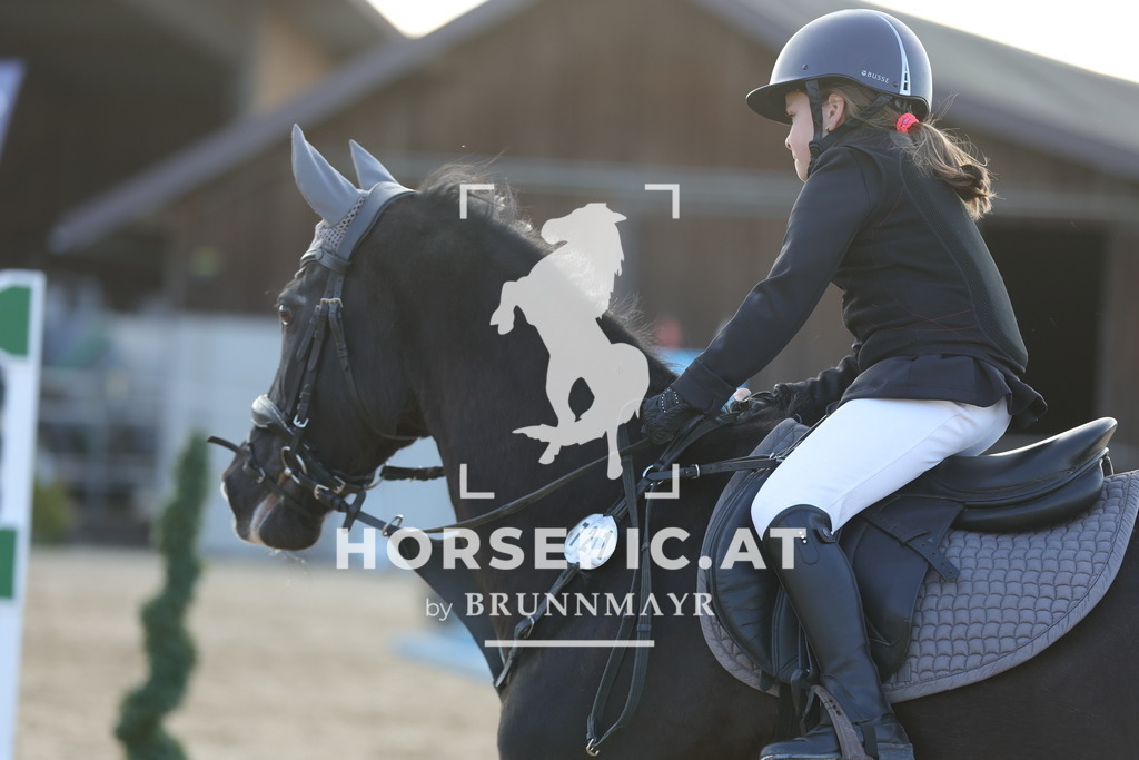 0P6A9145 | Willkommen bei Brunnmayr - Design & Fotografie – Ihrem Spezialisten für Reitturniere und Pferdeveranstaltungen in Oberösterreich, Salzburg und Bayern! Seit über 17 Jahren sind wir leidenschaftlich dabei.