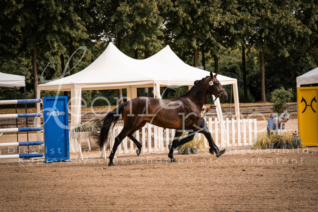 FrER00037 | Leoni Ertmer Photography - Realisiert mit Pictrs.com