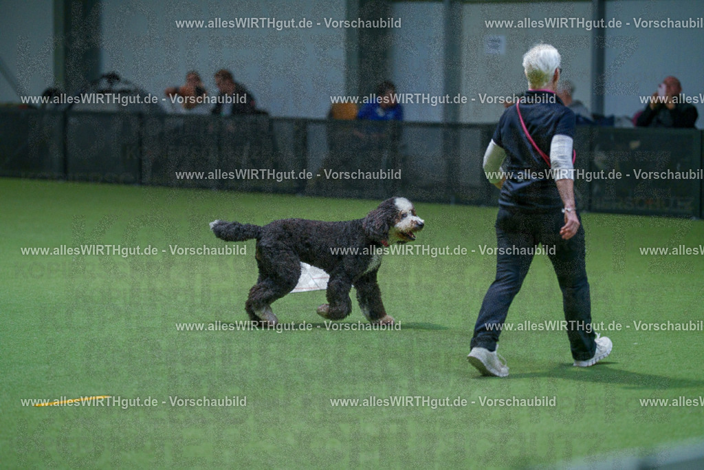 7R502674 | Professionelle Tierfotografie in Mönchengladbach von Daniel Wirth (allesWIRTHgut). Liebevolle & natürliche Bilder von Hunden & Katzen für unvergessliche Erinnerungen.