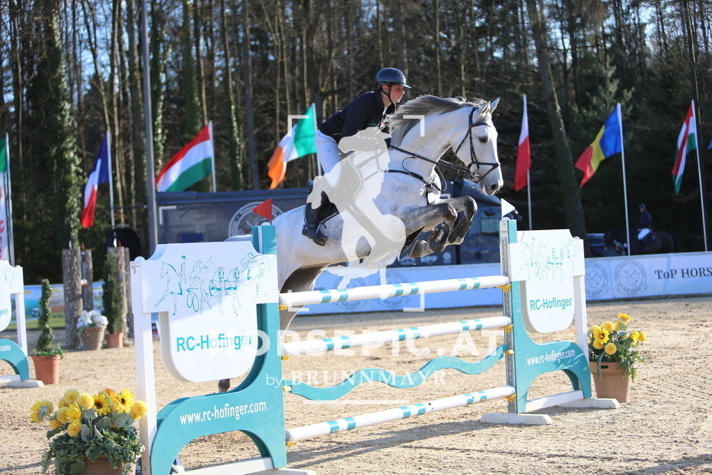 DL2Q1424 | Willkommen bei Brunnmayr - Design & Fotografie – Ihrem Spezialisten für Reitturniere und Pferdeveranstaltungen in Oberösterreich, Salzburg und Bayern! Seit über 17 Jahren sind wir leidenschaftlich dabei.