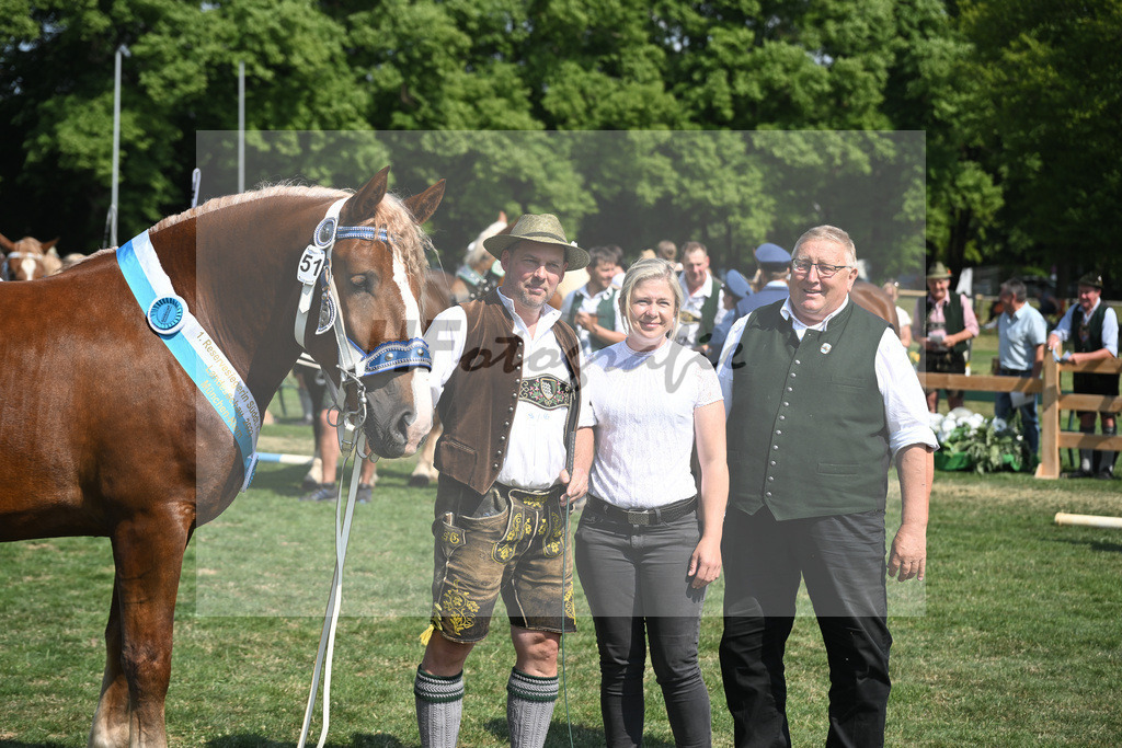 Kat-Nr. 51 Finesse G_Grandauer_20231231 | hf-fotografie - Realisiert mit Pictrs.com