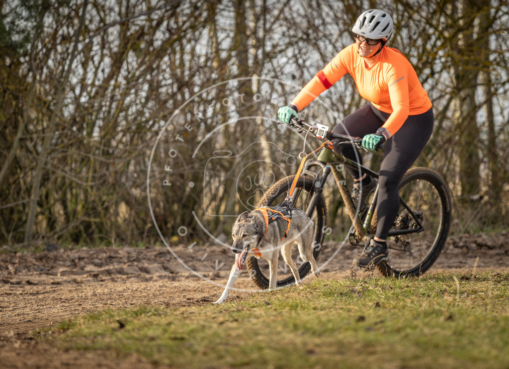 Pfotenfotografie_DV3A8521 | Hundefotografie, Tierfotograf, Pfotenfotografie, Fotoshooting Hund, Hunde Portrait, Hundesport, Hundeportraits, Heideshooting, Hunde, Sportfotograf, Hundefotograf, Turnierhundsport, THS,  - Realisiert mit Pictrs.com