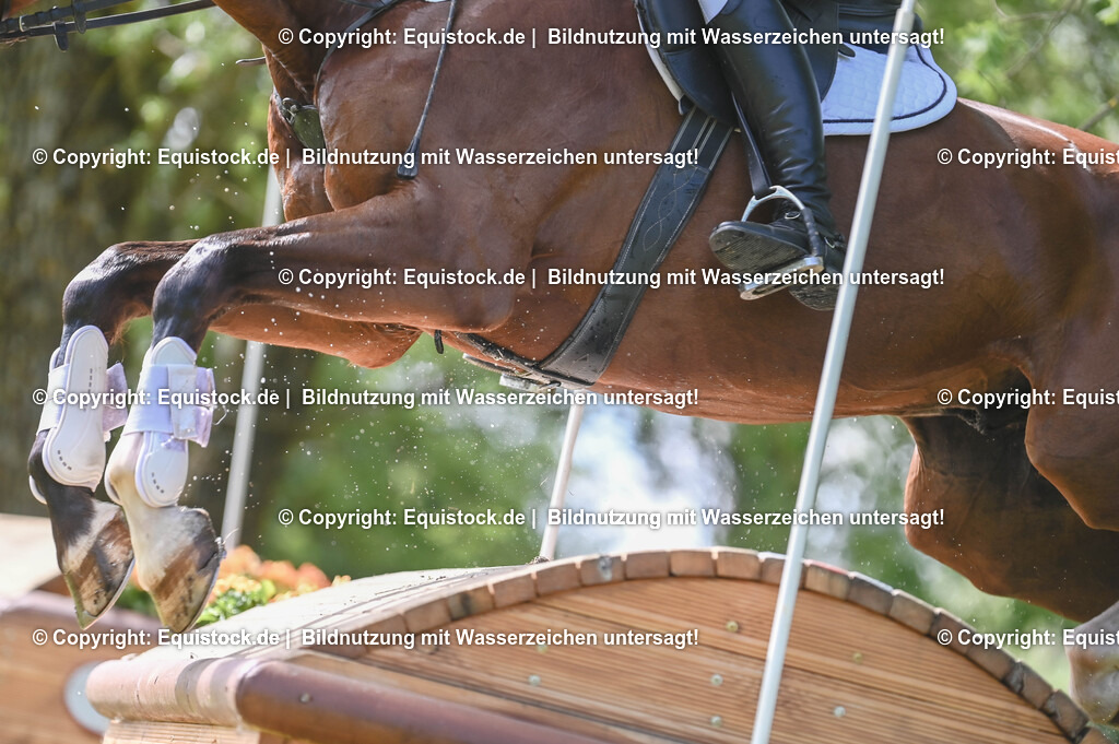 20250517_CCI2_Gelände_1070 | Foto: Thomas Hartig