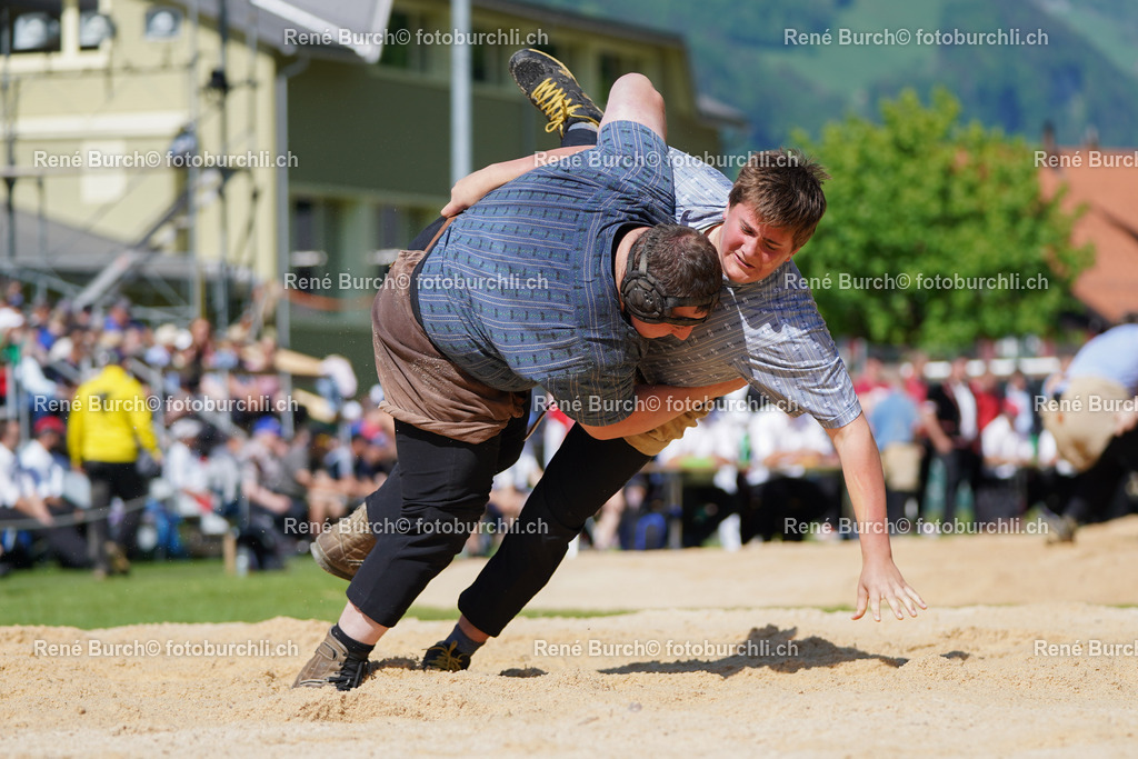 20220515-DSC06774-2 | René Burch leidenschaftlicher Fotograf aus Kerns in Obwalden.  Hier finden sie Sport, Landschaft und Natur Fotografie.
 - Realisiert mit Pictrs.com