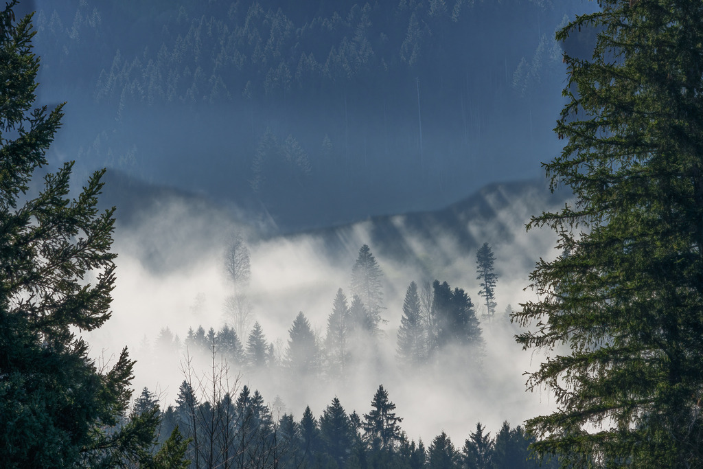 2022_11_13 A7406737 | bridgeman - Realisiert mit Pictrs.com