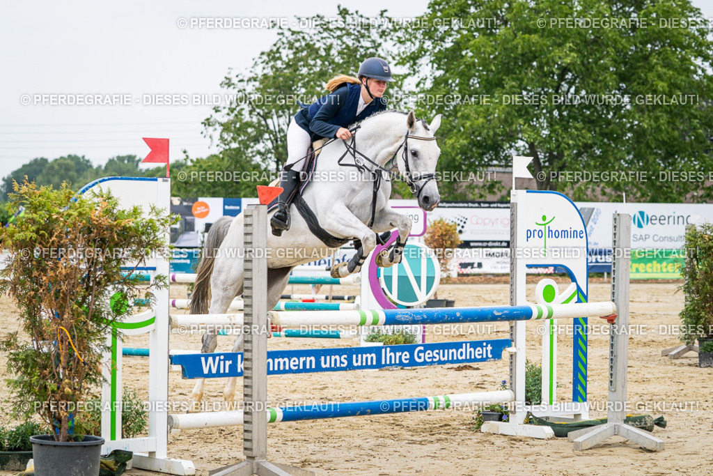 DSC09735 | Pferdegrafie