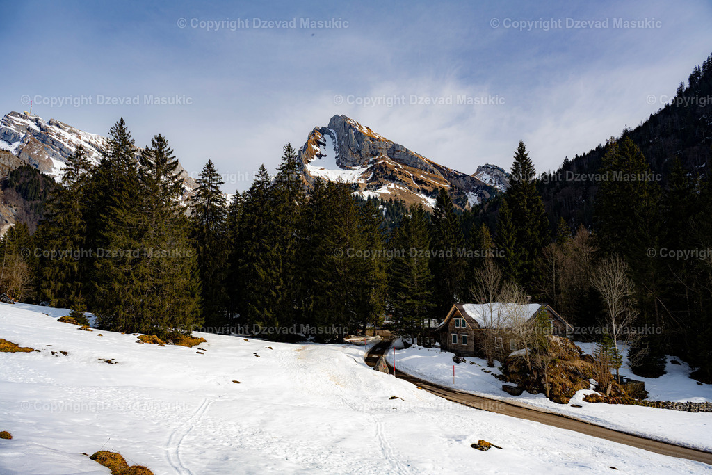 Gräppelensee | Der Gräppelensee in Alt St. Johann ist ein idyllischer Bergsee, eingebettet in die wunderschöne Landschaft des Toggenburgs. - Realisiert mit Pictrs.com