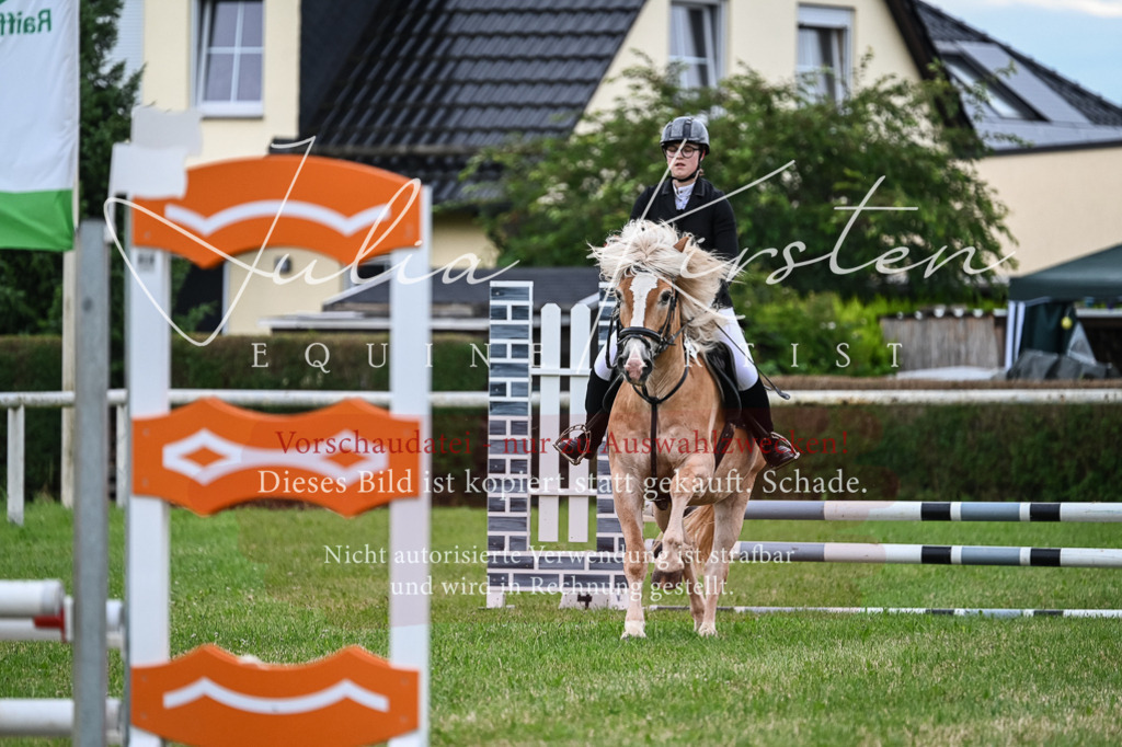 DSC_8402 | Pferde- und Turnierfotografie in Westsachsen. Pferdeportraits, Auftragszeichnungen und intuitive Kunst.