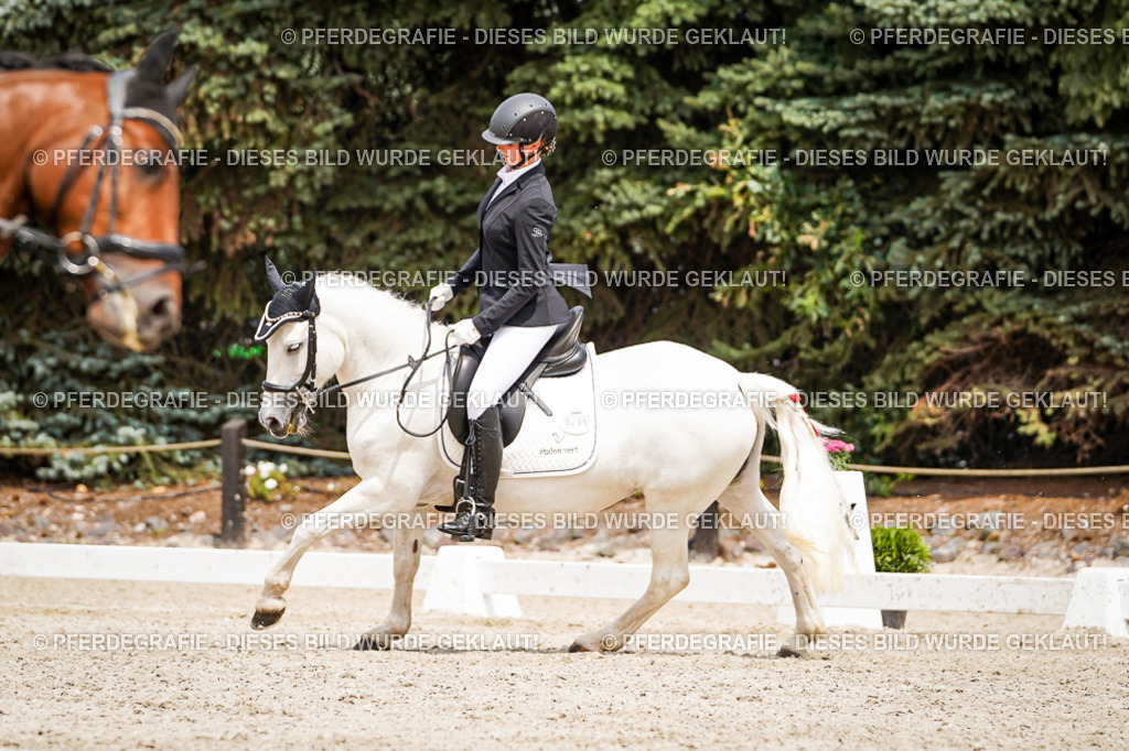 DSC03860 | Pferdegrafie