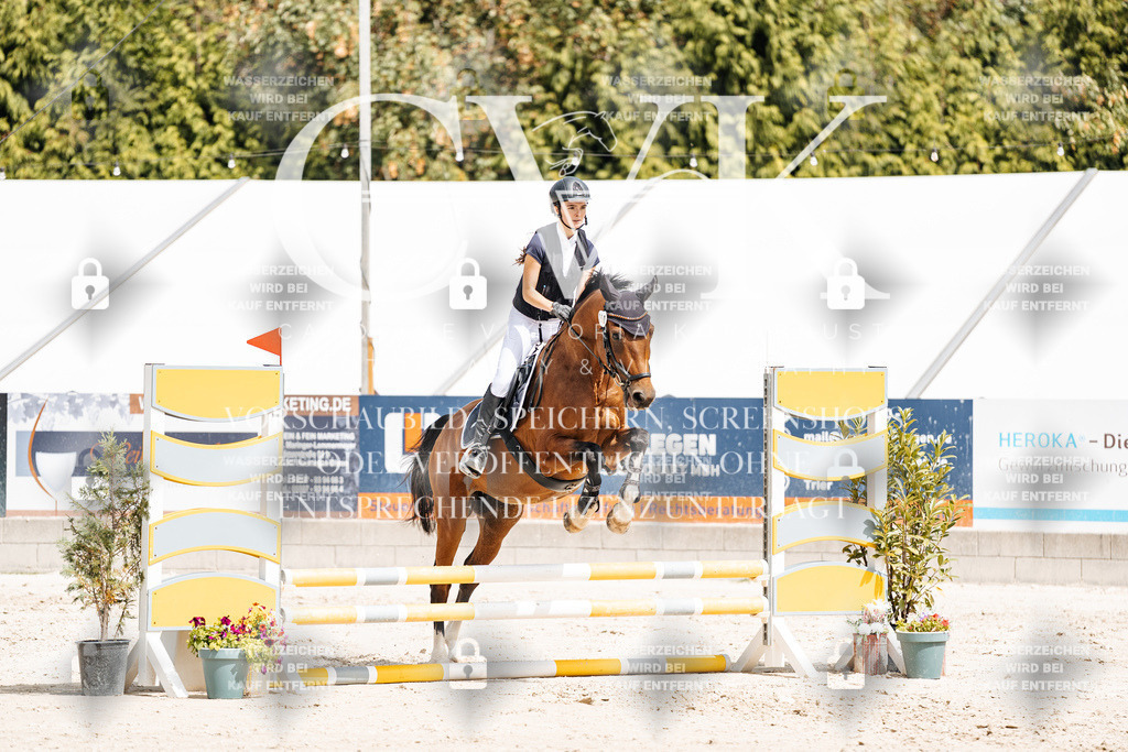 CK906614 | Turnierfotografie Pferdefotografie Trier Rheinland-Pfalz Pferdesport Reitsport Tierfotografie Sportfotografie Pferdevideo Pferdevideografie Equestrianvideography equestrianphotography  - Realisiert mit Pictrs.com