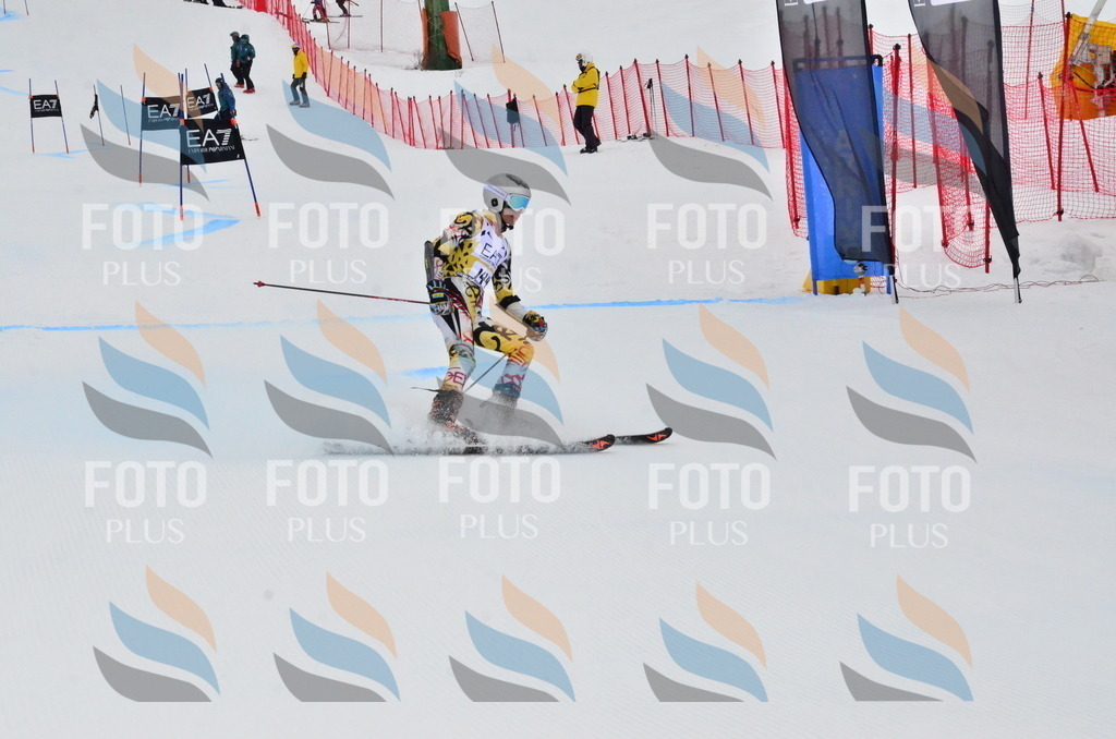 _ELE3781 | holidayphoto