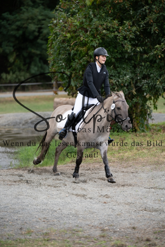 A7V01425 | Pferdefotograf