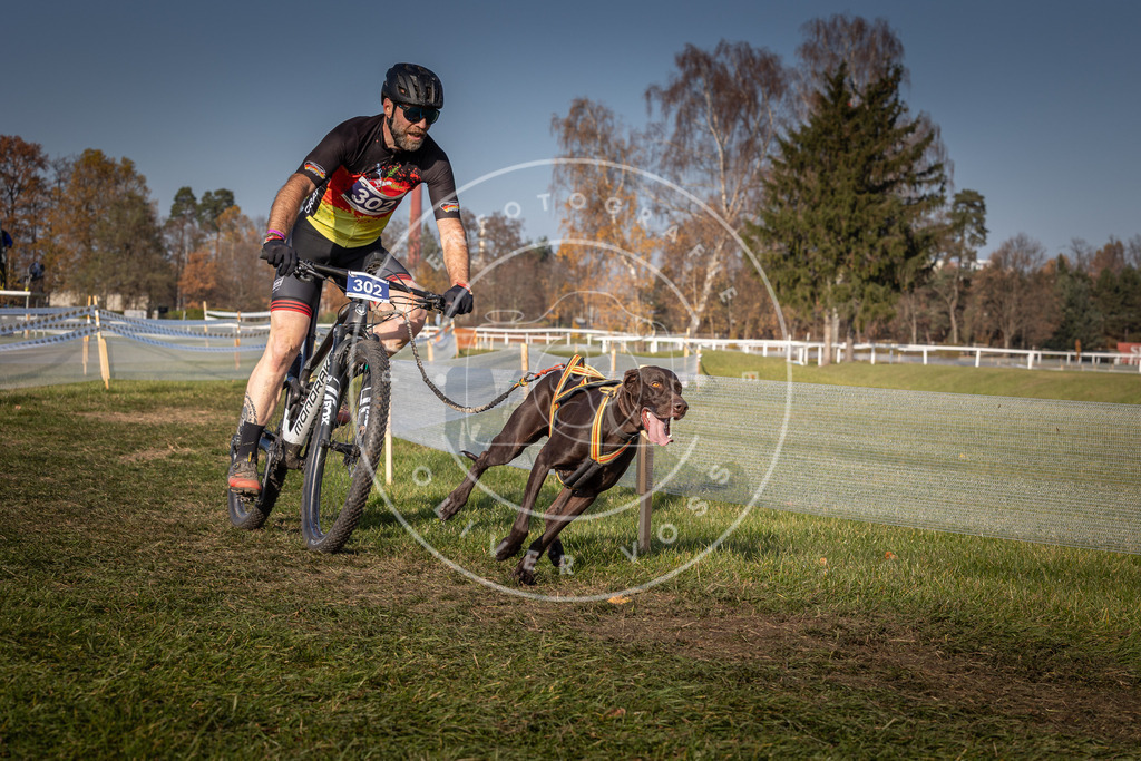 CaniXpix_0L8A7696 | Hundefotografie, Tierfotograf, Pfotenfotografie, Fotoshooting Hund, Hunde Portrait, Hundesport, Hundeportraits, Heideshooting, Hunde, Sportfotograf, Hundefotograf, Turnierhundsport, THS,  - Realisiert mit Pictrs.com