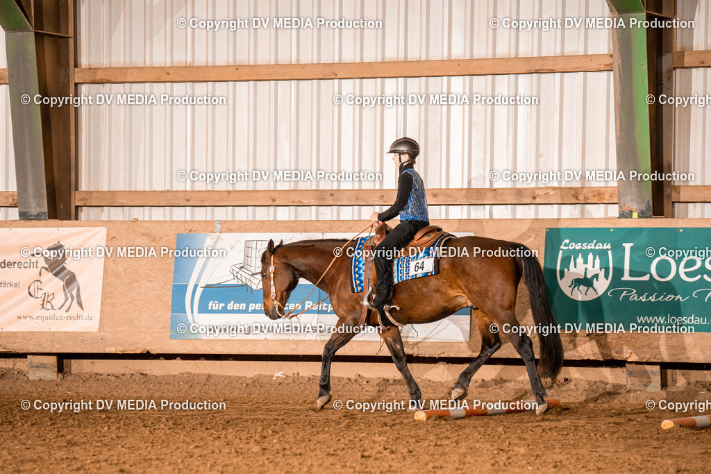 BA400030 | dv-media-shop - Realisiert mit Pictrs.com