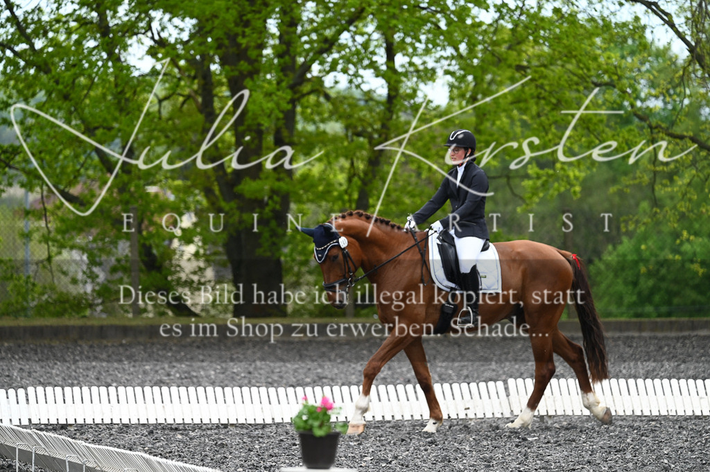 20230512_JK-Röhrsdorf-07-178 | Pferde- und Turnierfotografie in Westsachsen. Pferdeportraits, Auftragszeichnungen und intuitive Kunst.