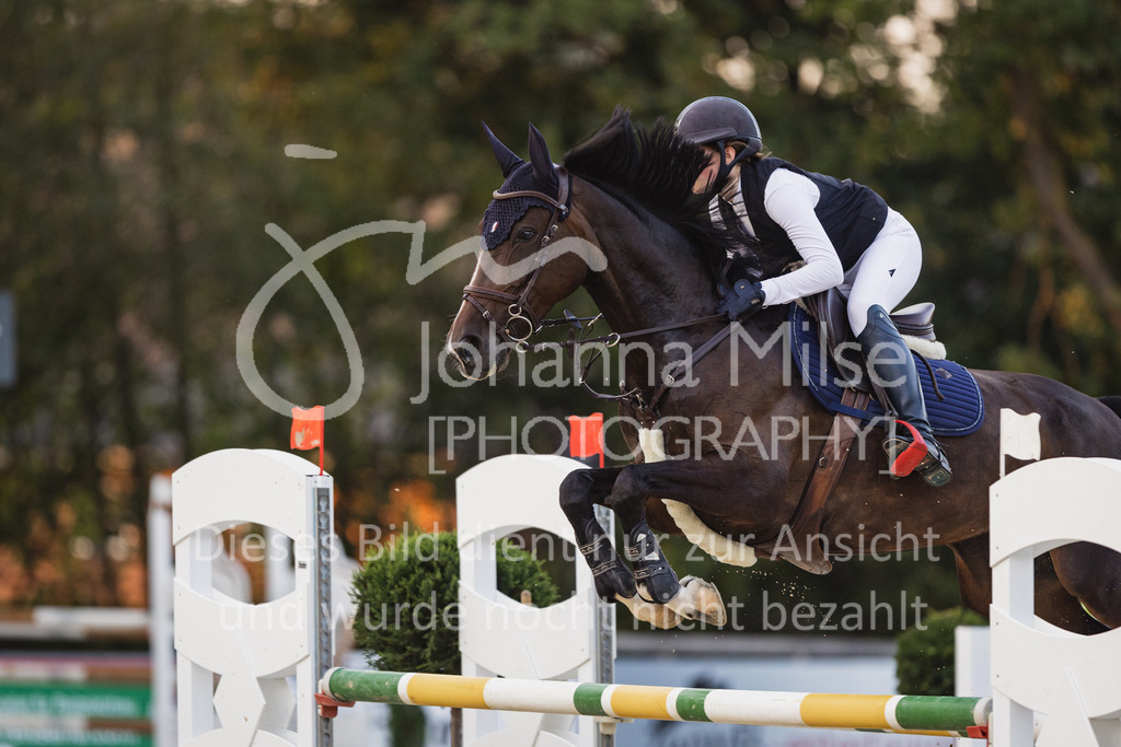 230723_Delbrueck_2Ph-L1-246 | Deine schönsten Turniermomente als professionelle Fotos! Entdecke hochwertige Pferdesport-Fotografie im Online-Shop. Jetzt Fotos finden & bestellen!