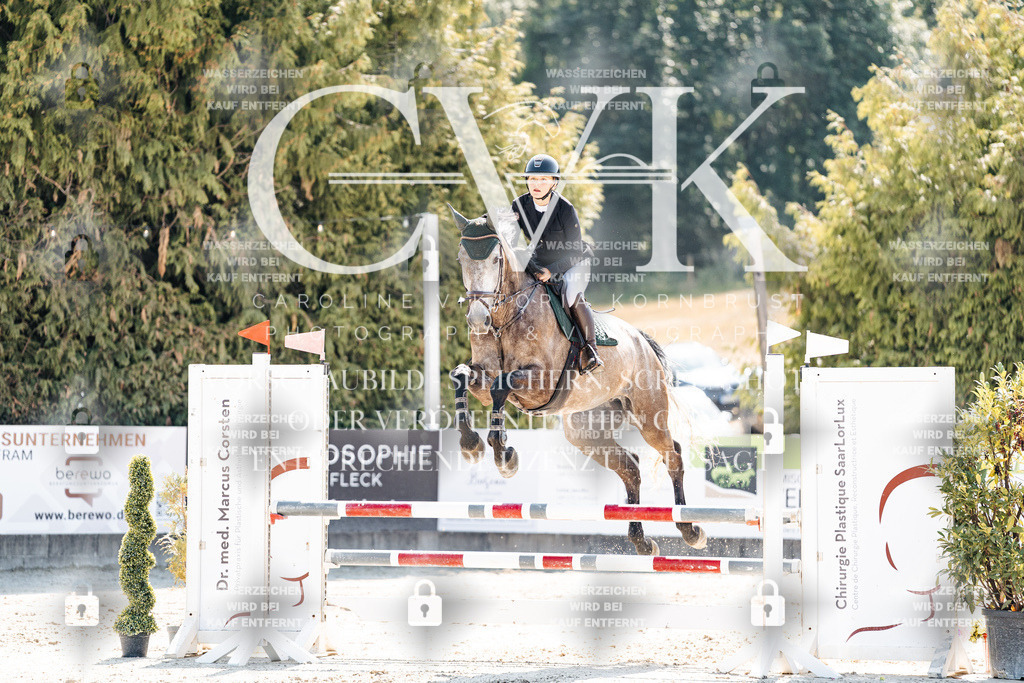 CK908957 | Turnierfotografie Pferdefotografie Trier Rheinland-Pfalz Pferdesport Reitsport Tierfotografie Sportfotografie Pferdevideo Pferdevideografie Equestrianvideography equestrianphotography  - Realisiert mit Pictrs.com