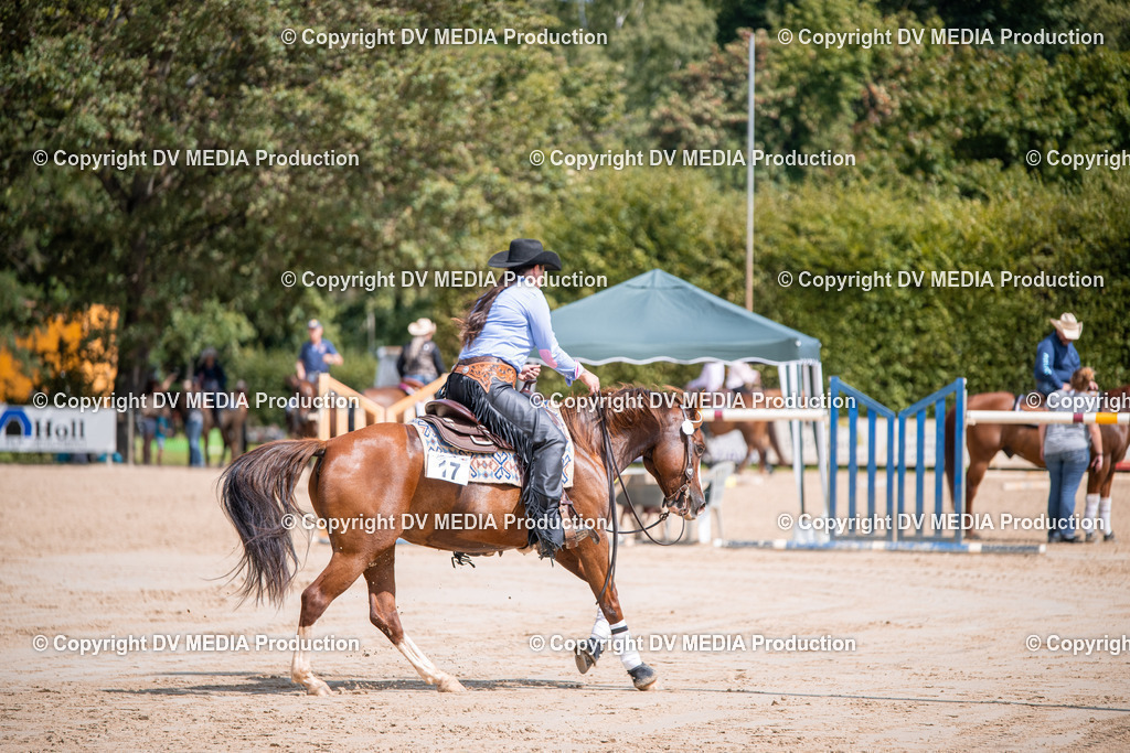 ZS3_5258 | dv-media-shop - Realisiert mit Pictrs.com