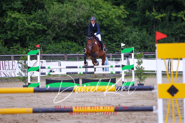 DKP41910 | Turniersportfotografie; Pferdefotografie; Dressurfotografie