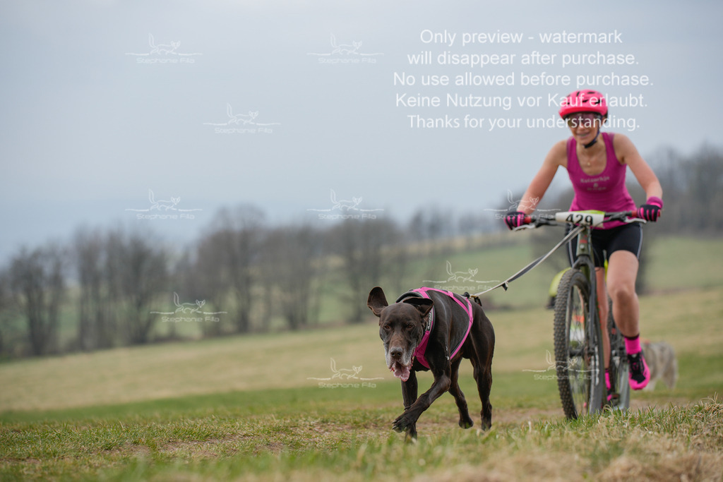 ScooterSA-221-9 | stephaniefillaphotographie - Realisiert mit Pictrs.com