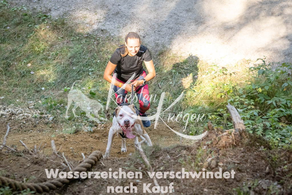 1115_ZZ90376 | kk-dogfotos