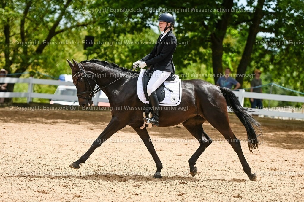 20230715_05_Dressurprüfung Kl.A++_0374 | equistock
