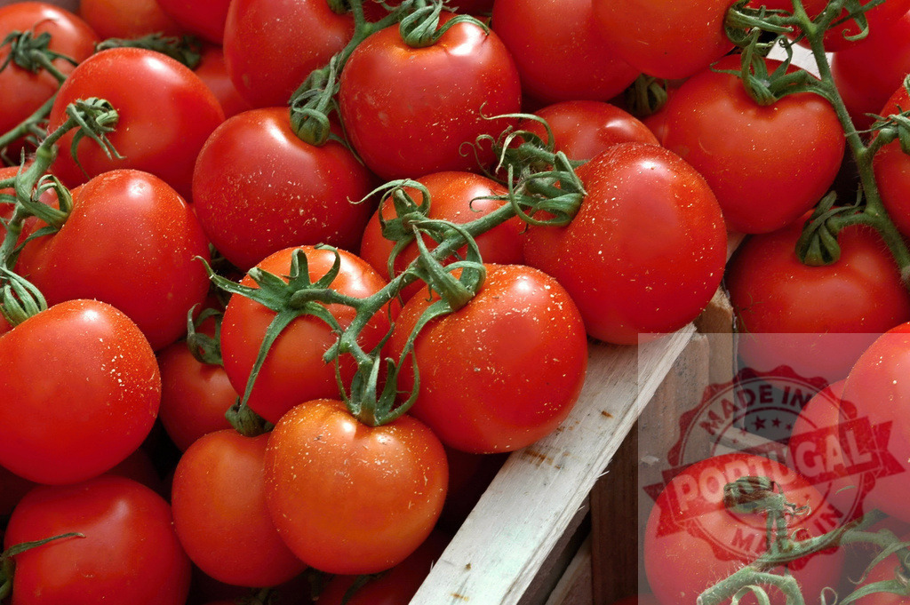 Fresh ripe red tomatoes on the vine in a crate | Abundant ripe red tomatoes on green vines, showing freshness and harvest in a wooden crate - Realized with Pictrs.com