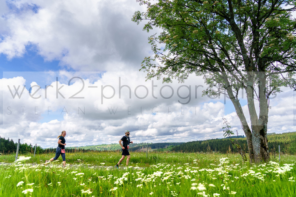 Rennsteiglauf Marathon 2024 | 25. Mai 2024 - 42,2 km von Neuhaus nach Schmiedefeld