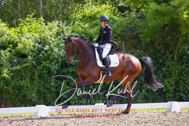 DKP41510 | Turnierfotos kaufen im Webshop von Daniel Kuhl Photography – entdecke professionelle Reitsportfotos aus Turnieren & Events. Hochwertige Turnierbilder online bestellen & sichern. Jetzt Fotos von Reitsportturnieren kaufen!