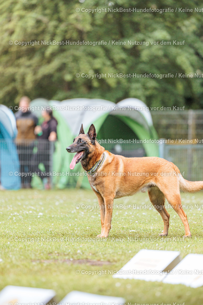 RO-Blumenthal-2026-Nickbest-Hundefotografie-4112 | Dein Hund! Dein Moment! Deine Erinnerungen! Hundefotografie in Bremen Blumenthal. Ich fange die besonderen Momente deines Vierbeiners ein – ob Indoor mit Blitzanlage oder in der freien Natur. Sicher dir dein Moment und dein Termin für eure Erinnerungen.