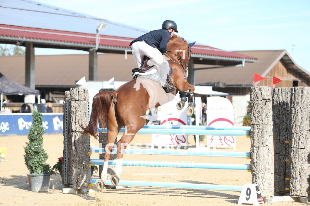 DL2Q3551 | Willkommen bei Brunnmayr - Design & Fotografie – Ihrem Spezialisten für Reitturniere und Pferdeveranstaltungen in Oberösterreich, Salzburg und Bayern! Seit über 17 Jahren sind wir leidenschaftlich dabei.