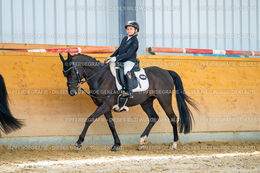 DSC09007 | Pferdegrafie