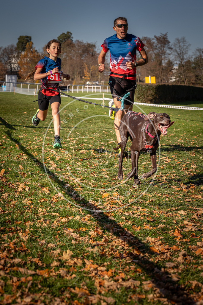 CaniXpix_0L8A6955 | Hundefotografie, Tierfotograf, Pfotenfotografie, Fotoshooting Hund, Hunde Portrait, Hundesport, Hundeportraits, Heideshooting, Hunde, Sportfotograf, Hundefotograf, Turnierhundsport, THS,  - Realisiert mit Pictrs.com
