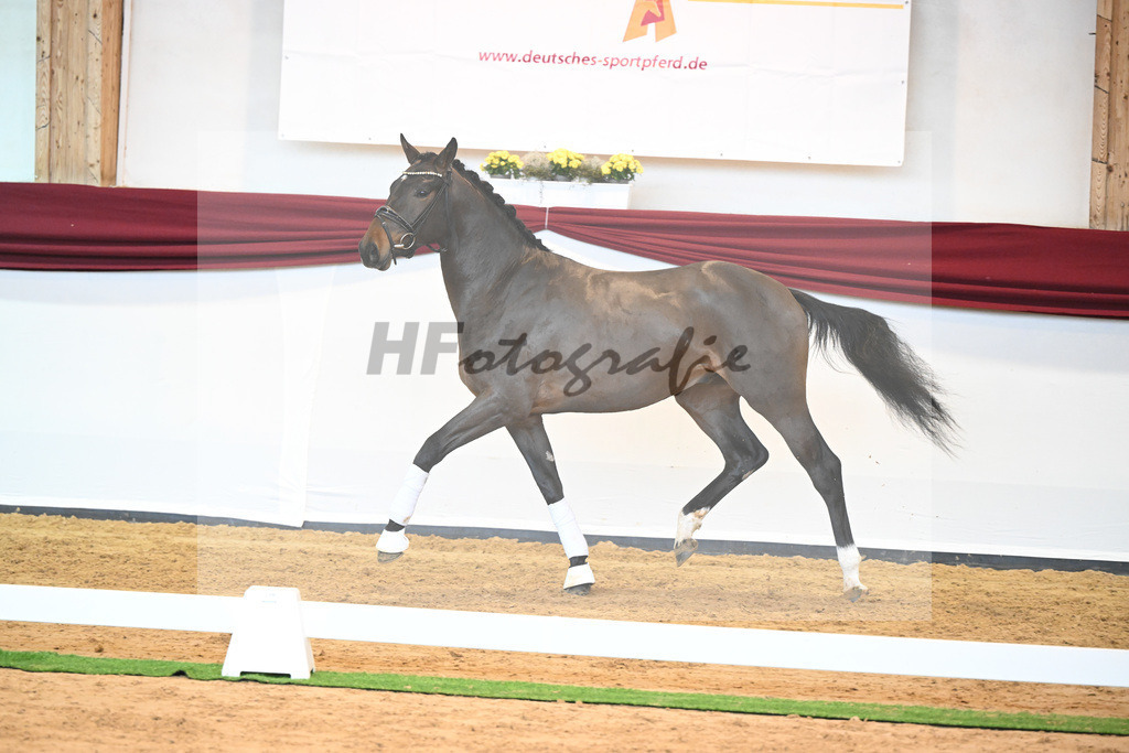 Kat-Nr. 43 v. Mykonos_Sommer_66220965 | hf-fotografie - Realisiert mit Pictrs.com