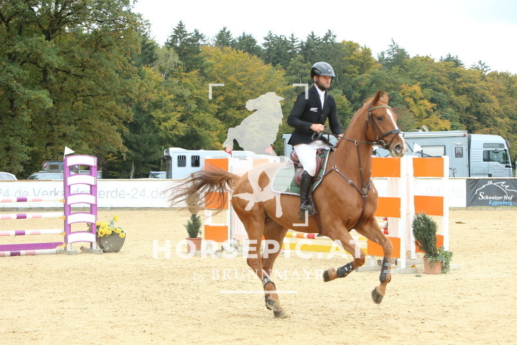 DL2Q6799 | Willkommen bei Brunnmayr - Design & Fotografie – Ihrem Spezialisten für Reitturniere und Pferdeveranstaltungen in Oberösterreich, Salzburg und Bayern! Seit über 17 Jahren sind wir leidenschaftlich dabei.