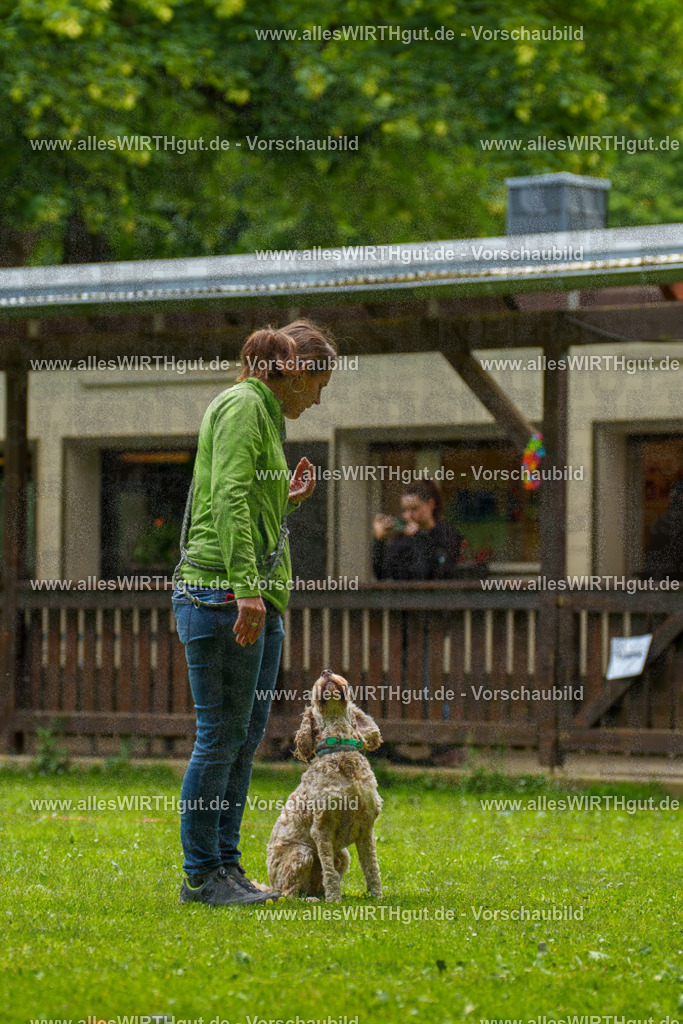 @allesWIRTHgut_Tierfotografie - www.allesWIRTHgut.de - 092340-7R507043 | Professionelle Tierfotografie in Mönchengladbach von Daniel Wirth (allesWIRTHgut). Liebevolle & natürliche Bilder von Hunden & Katzen für unvergessliche Erinnerungen.