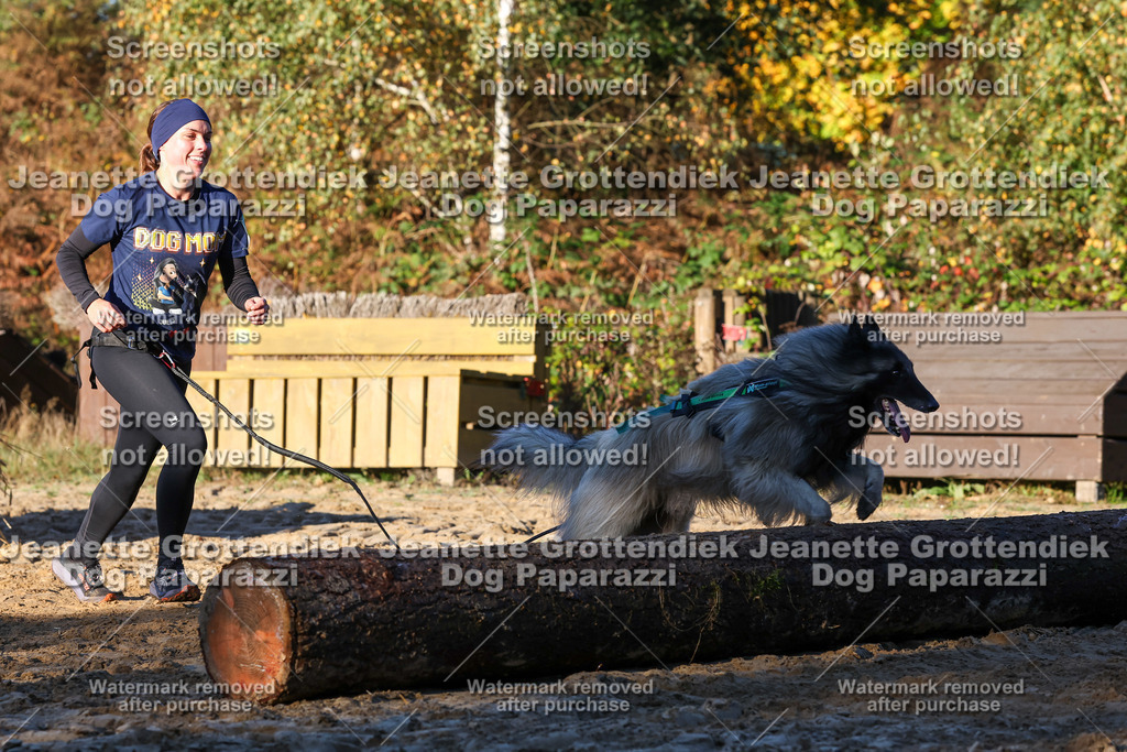 Dog Paparazzi - Strongdog 10-25-1088 | Dog Paparazzi Jeanette Grottendiek Fotografie & Videografie - Realisiert mit Pictrs.com