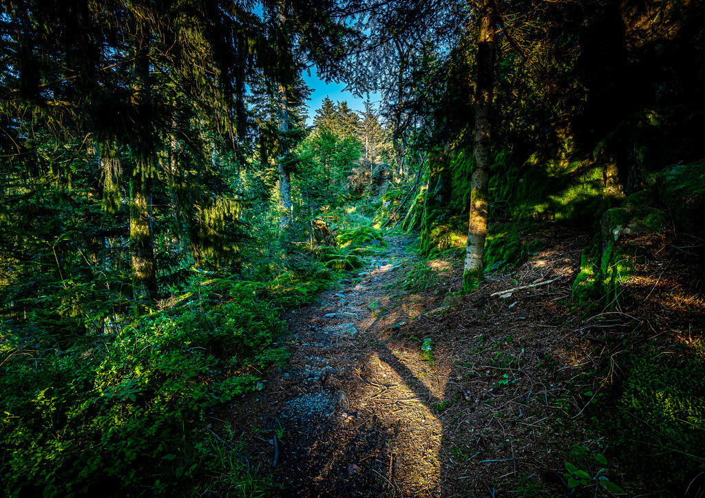 MPI_Landscape_0017 | Herzlich Willkommen im Shop von Michael's Photoimpressionen – Stimmungsvolle Fotografien, aus dem Schwarzwald und der Ortenau, die Licht und Farbe verbinden. Als hochwertige Fine-Art-Prints erhältlich.  - Realisiert mit Pictrs.com
