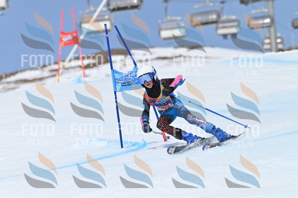 BGV_2631 | holidayphoto