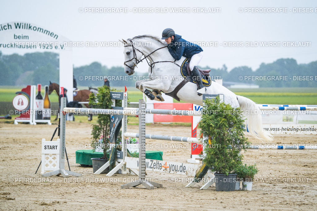 DSC09986 | Pferdegrafie