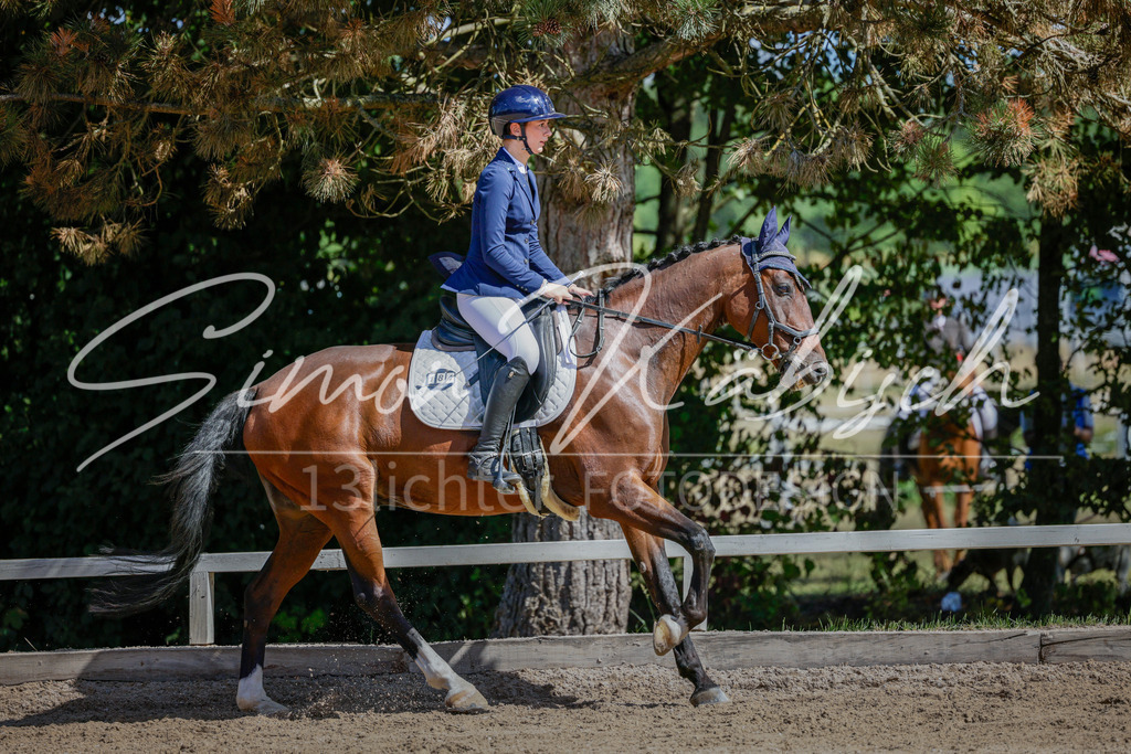 20250906-_3LI4502 | Tierfotografie Pferde, Hunde, Katzen, Haustiere.
Turnierfotografie Reitturniere, Reiten, Springreiten, Dressur in Hanau, dem Main-Kinzig-Kreis und dem Rhein-Main- Gebiet um Frankfurt