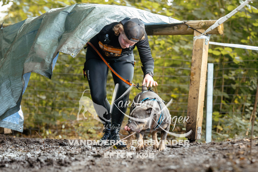 1436DZ6_3194Z6 | kk-dogfotos