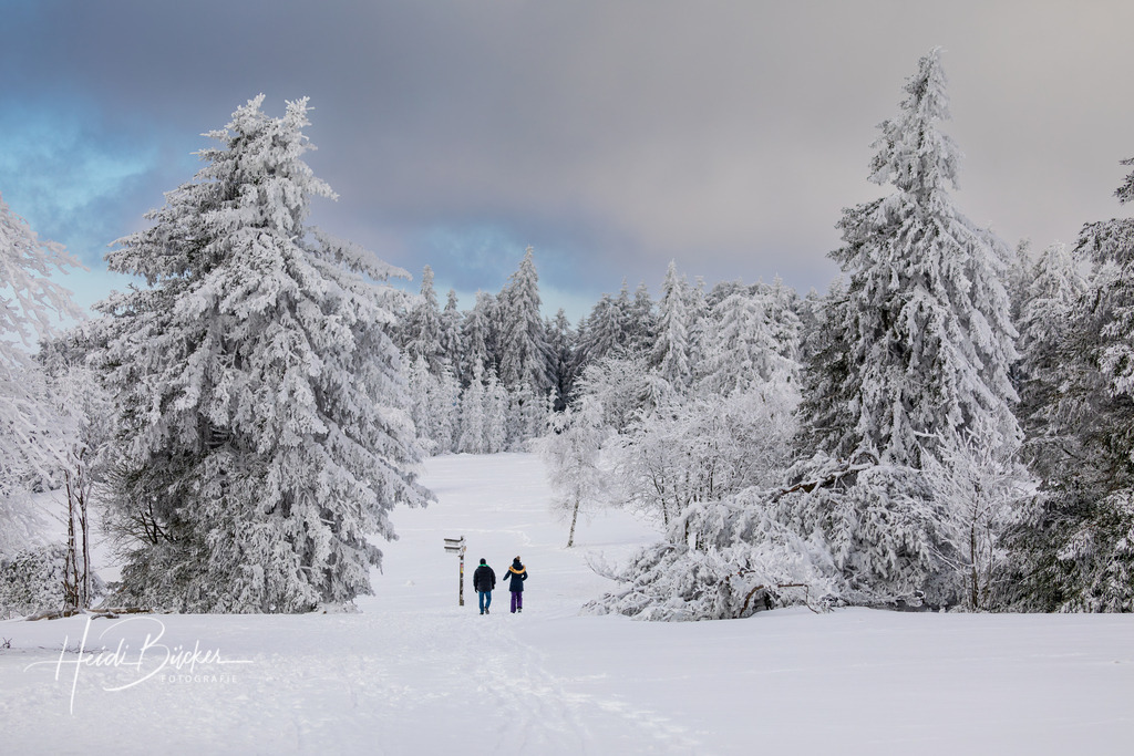 Spaziergänger in der Astenheide | Spaziergänger in der Astenheide auf dem Kahlen Asten - Realisiert mit Pictrs.com